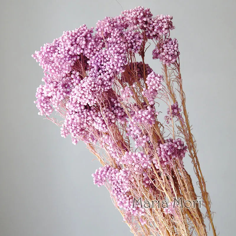 bouquet fleurs séchées naturelles rustique décoration maison mariage anniversaire petit volume décoratif