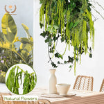 décoration murale fleurs séchées naturelles vert clair finement filamenteuses intérieur anniversaire baby shower