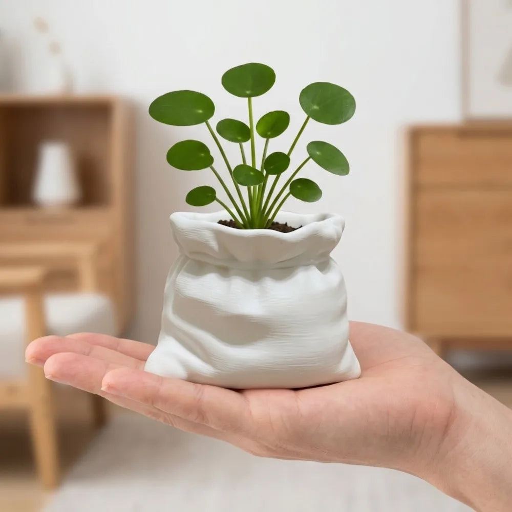 pot fleurs forme sac blanc texture tissu moderne opacité plantes intérieur décoration chambre minimaliste
