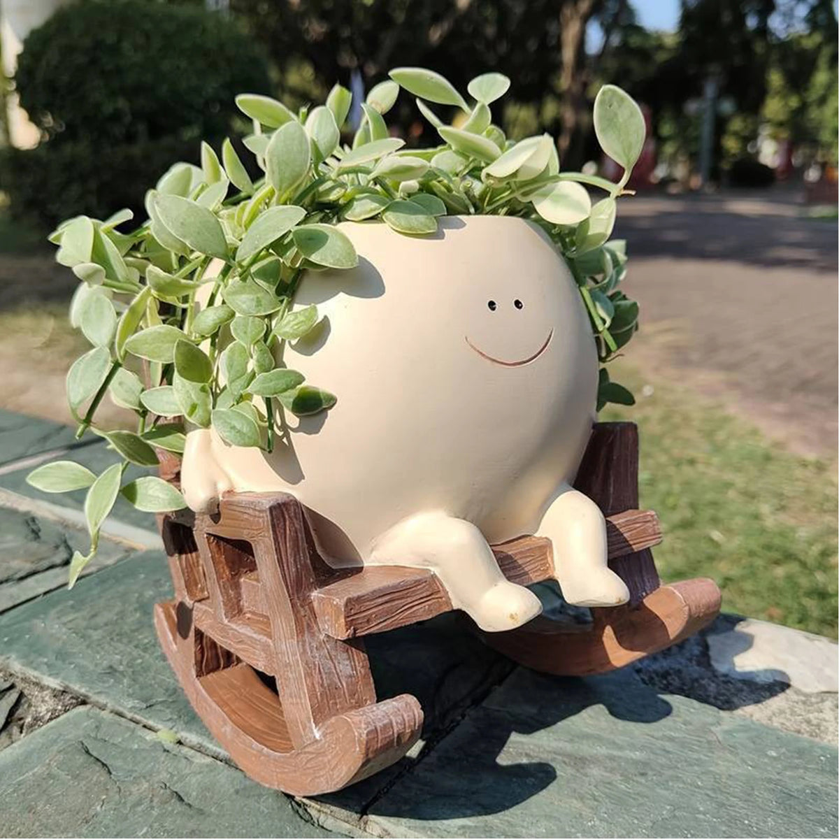 cache plantes succulentes chaise bascule visage souriant feuilles blanc