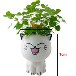 vase céramique glacé cartoon chat sourire plante décoration diy blanc erotique
