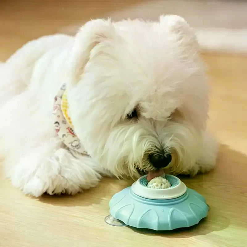 distributeur alimentation animaux interactive texturée floral chiens chats nourriture pâte tartiner bleu rose