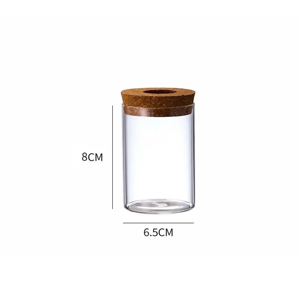 Pot plante hydroponique transparent moderne minimaliste 8cm 10cm 12cm 15cm 20cm
