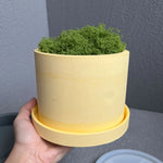 jardin pots silicone moderne jaune blanc gris mat opaques variés tailles