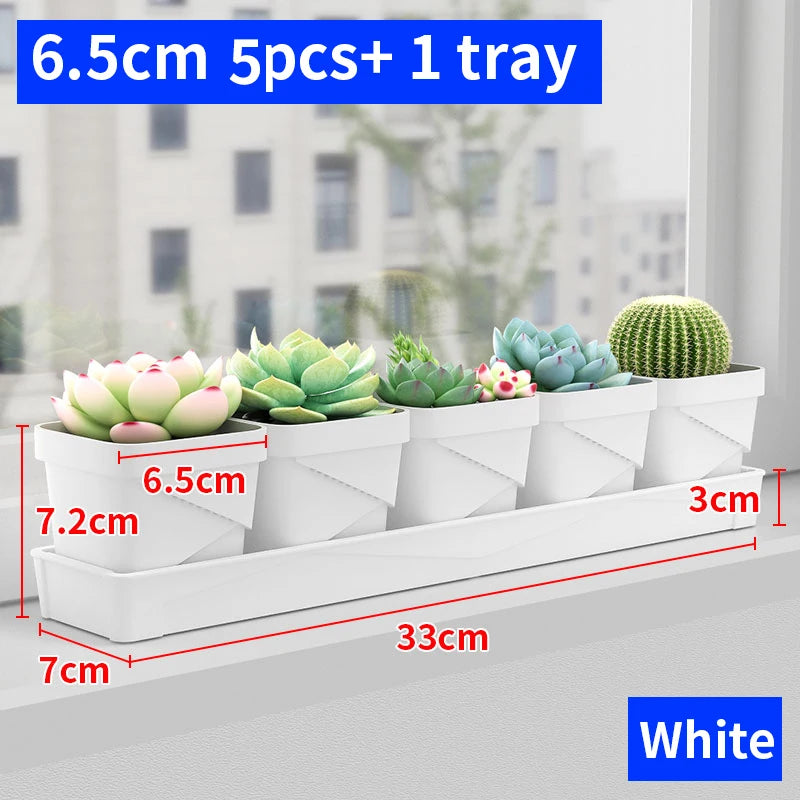 petit pot fleurs blanc plastique moderne cactus succulentes plateau intégré