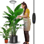 lampe croissance plante moderne minimaliste noir blanc vert rond lumineuse intérieure usb contrôleur câble