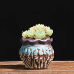 pots fleurs céramique glaçure abstraite bleu rose marron rustique plante verte artisanat