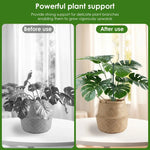 supports plantes vert foncé moderne 30 pièces jardin fleurs grimpantes bonsaï
