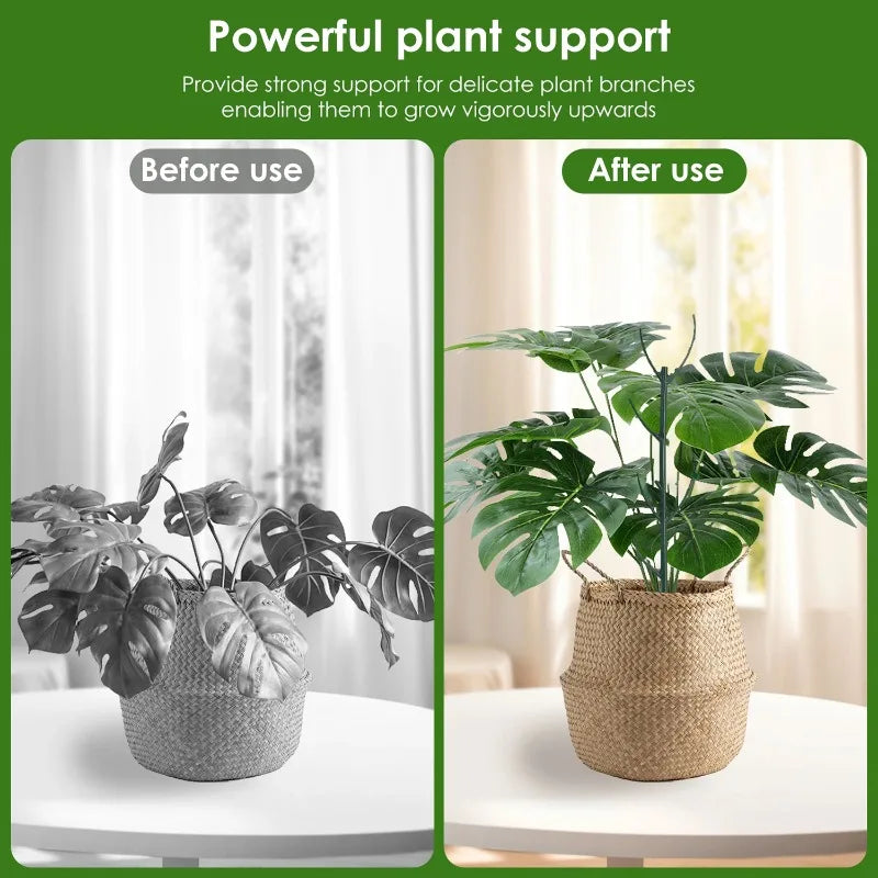 supports plantes vert foncé moderne 30 pièces jardin fleurs grimpantes bonsaï