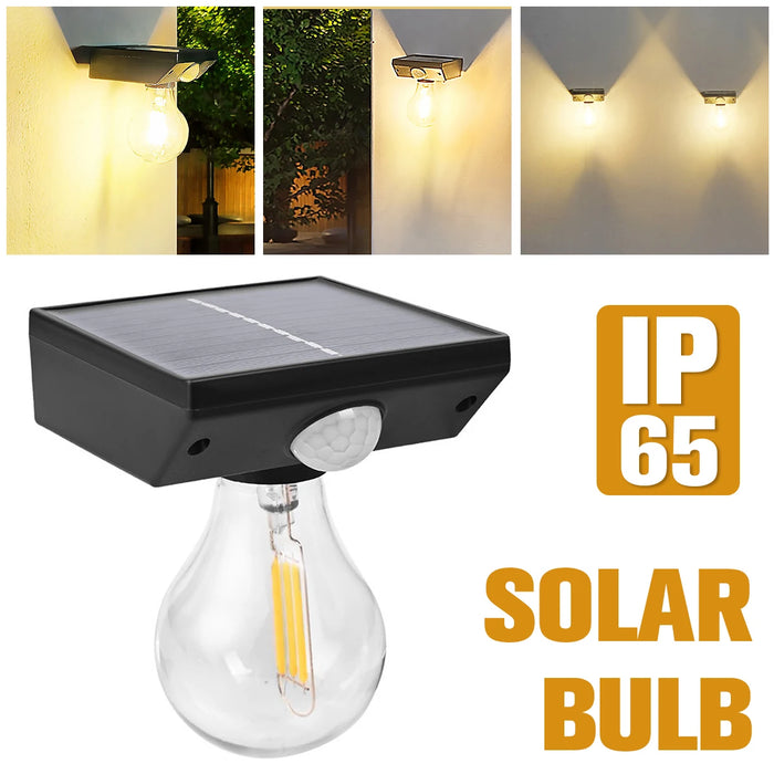 Lanterne solaire murale avec détecteur de mouvement pour éclairage extérieur