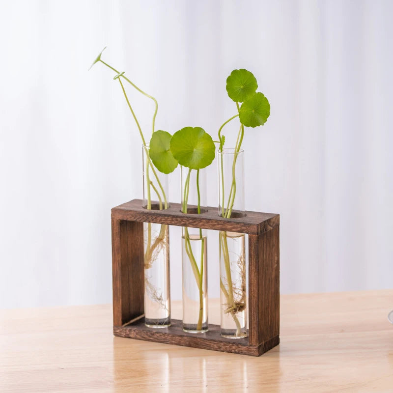 support plantes cube tubes verre transparent bois naturel moderne vase décoration intérieure fixations murales