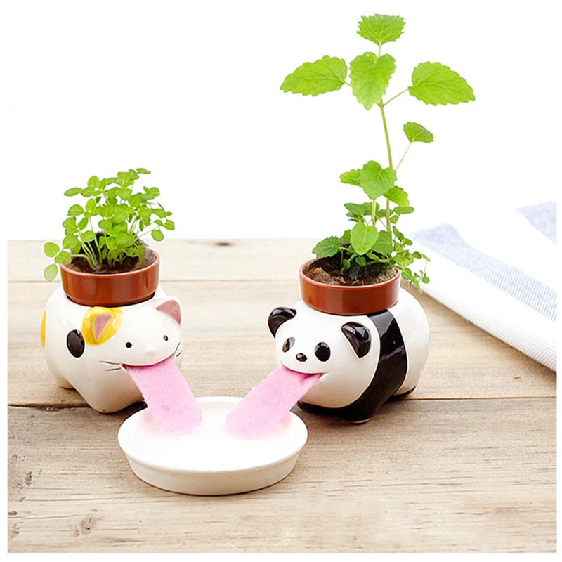 pots fleurs animaux chien chat panda grenouille blanc noir rose vert