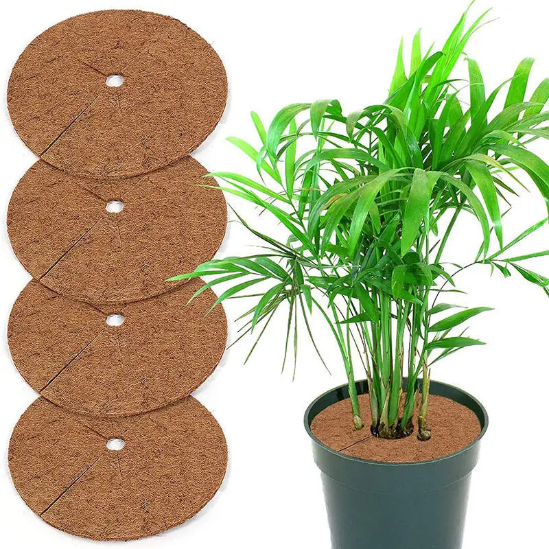 tapis protection pots fleurs marron clair texture naturelle antigel biodegradable 20cm 25cm 30cm 35cm