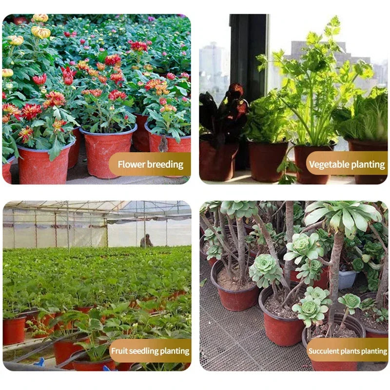 pots fleurs plastique orange noir modernes jardins plantes succulentes petits conteneurs jardinage semis fleurs