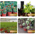 pots fleurs plastique orange noir modernes jardins plantes succulentes petits conteneurs jardinage semis fleurs