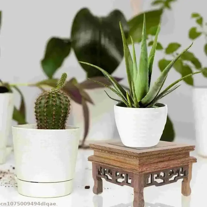 pieds exposition bois cactus aloe vera vases chinois traditionnels sculptés decoration