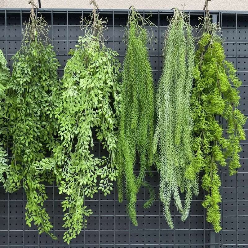 plantes suspendues vigne feuilles vertes rustiques extérieures accrochées naturellement exposéesextérieur decoration