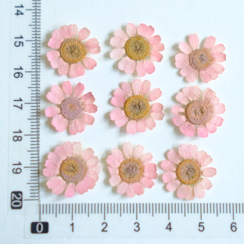 fleurs séchées multicolores bijoux résine décoration ongles maison intérieure artisanal anniversaire naturelles