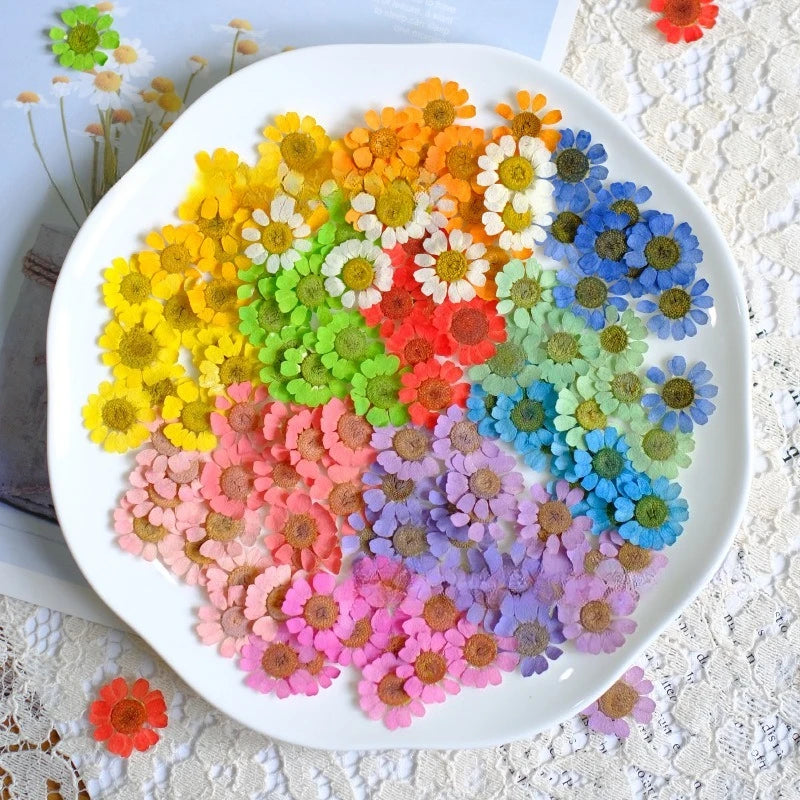 fleurs séchées multicolores bijoux résine décoration ongles maison intérieure artisanal anniversaire naturelles