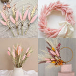 décoration intérieure bouquet fleurs sèches plumes modernes rose blanc vert pastel