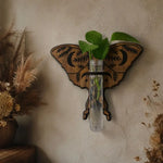 support mural boho chic plante papillon floral clips marron vert transparent