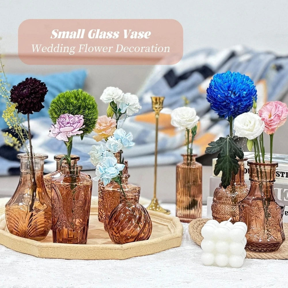 vases verre transparents ombre vintage vert marron bleu rose élégants décoration fleurs