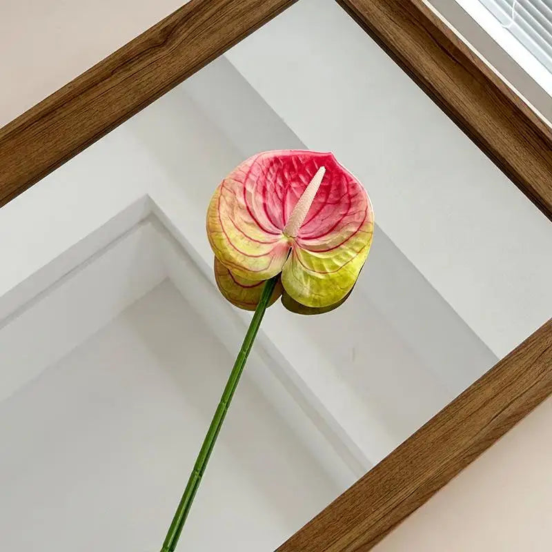 décoration intérieure plante artificielle feuilles ovales moderne vase boîte enjoy life rouge vert blanc
