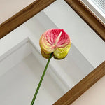 décoration intérieure plante artificielle feuilles ovales moderne vase boîte enjoy life rouge vert blanc