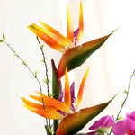 plantes artificielles oiseau paradis bouquet fleurs vert jaune orange rouge moderne décoration intérieur maison