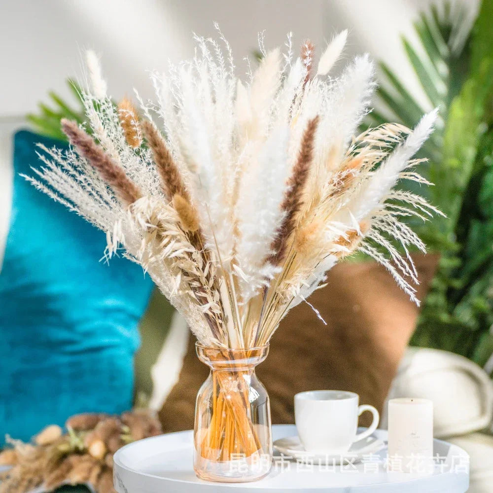 bouquet fleurs séchées naturelles pampa roseau épis blé herbe décoration maison bohème blanc beige