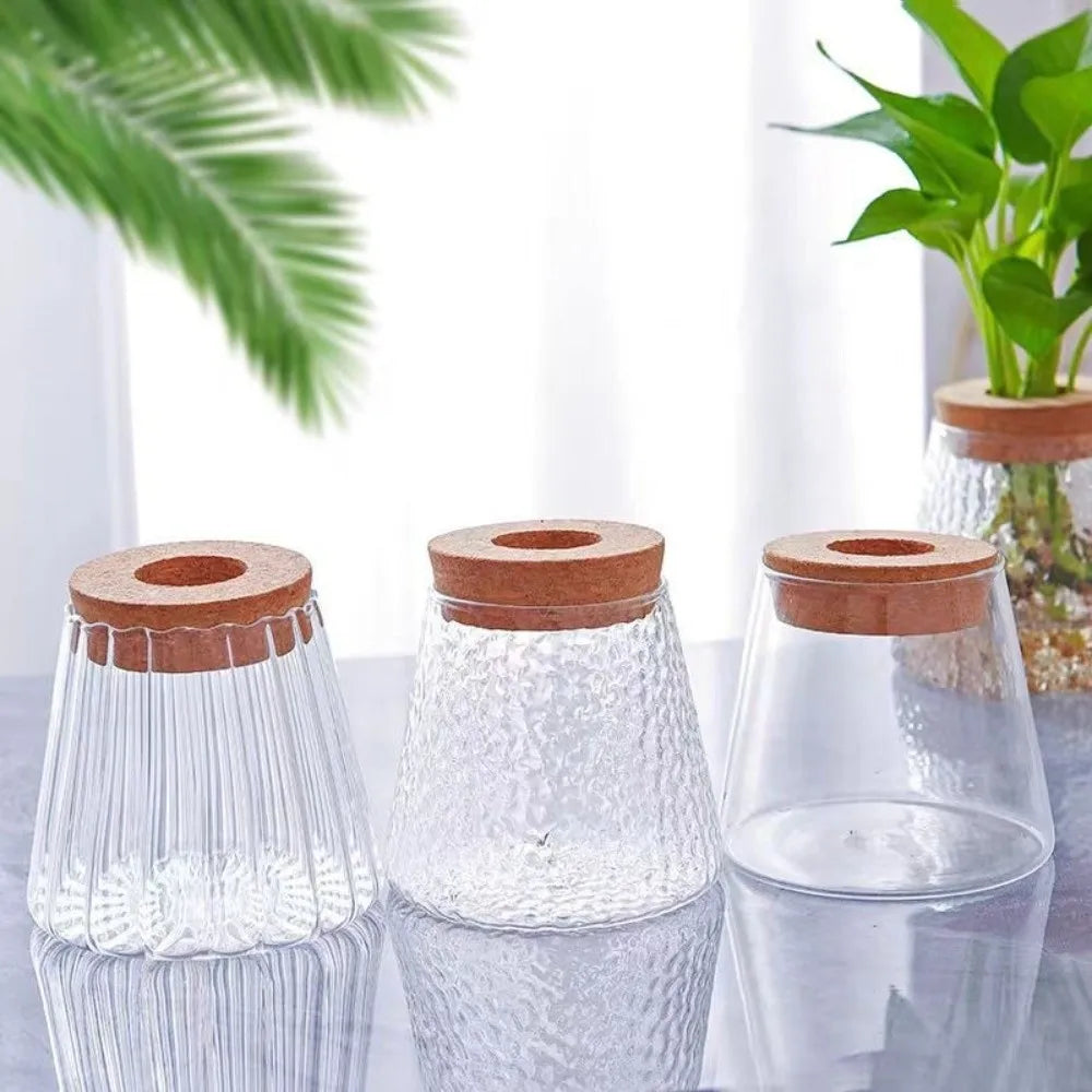 vase verre moderne transparent gravé couvercle liège opaque table