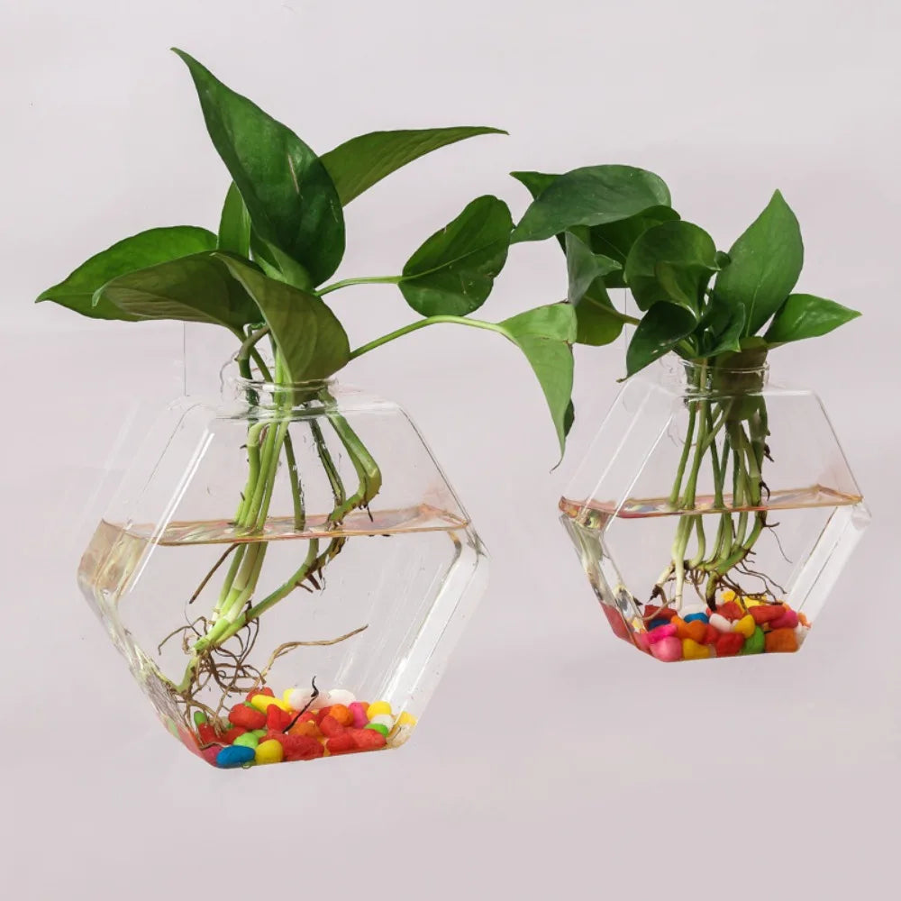 vase mural hexagonal transparent plantes aquatiques moderne décoration murale fixations métalliques éléments décoratifs multicolores