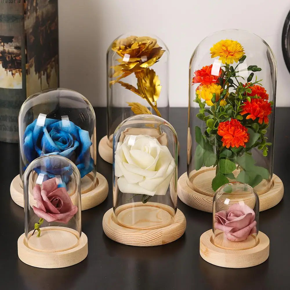 cloches verre transparentes opalescentes bases bois naturel minimaliste grande taille stockage