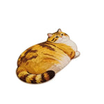 tapis sol chats imprimés gris orange moderne antidérapant salle bain absorbant'eau