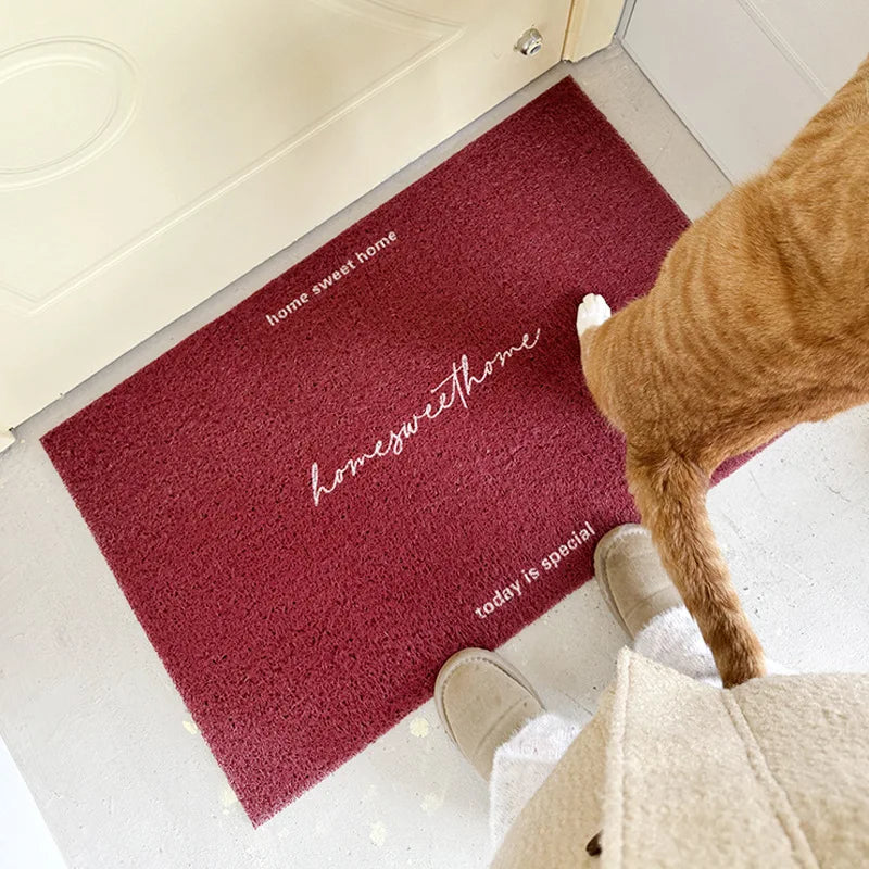 tapis d'entrée texturé rouge bleu moderne antidérapant pvc coréen couloir outdoor porte