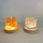 lampe poser moderne bois naturel couleurs chaudes blanc orange vert translucent câble usb commandes