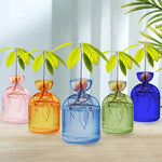 Pot plante moderne transparent coloré hauteur 15cm eau plante inclusion rose orange bleu vert