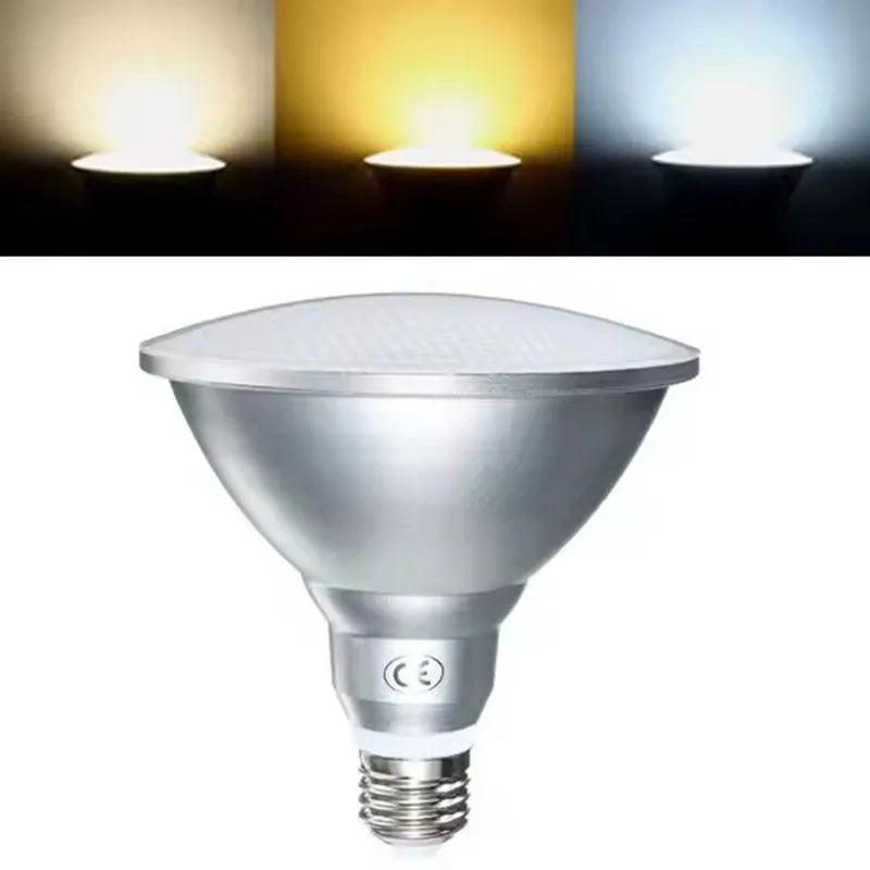 Ampoule LED Argenté 6000K 12W PAR30 Étanche IP65 Dimmable 50000h Moderne