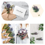 décoration maison bouquet fleurs séchées violettes feuilles vertes naturel rustique anniversaire baby shower