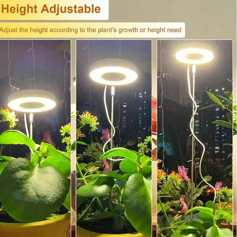 lampe led croissance plante intérieure spectre complet modes timer réglable blanc moderne
