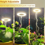lampe led croissance plante intérieure spectre complet modes timer réglable blanc moderne