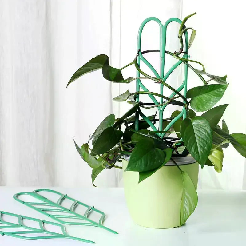 supports plante grimpante treillis feuilles vintage pots verts tiges fixantes aménagement serre