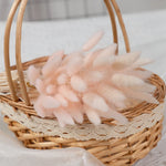 bouquet fleurs séchées herbe rabbit tail décoration maison mariage anniversaire boho naturelle rustique