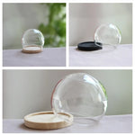 vase boule verre transparent base bois couvercle fleurs séchées