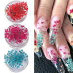 décorations nail art fleurs séchées violet rose vert rouge orange blanc naturel strass ongles
