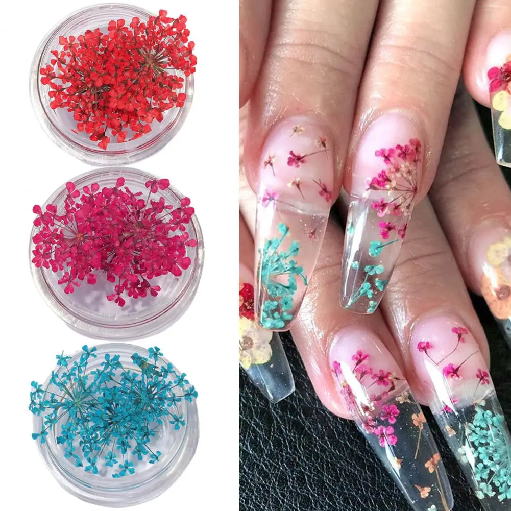 décorations nail art fleurs séchées violet rose vert rouge orange blanc naturel strass ongles