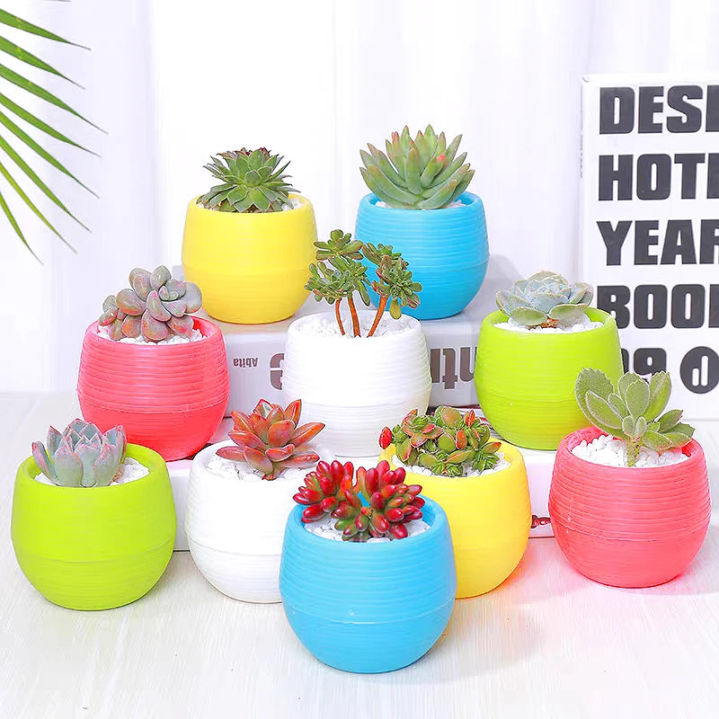 cache pot résine coloré moderne rayures horizontales plante succulente bleu blanc jaune rouge vert