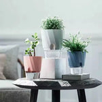 pots plantes transparents moderne minimaliste blanc rose gris rayures diagonales matériau plastique absorption d'eau