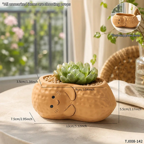 pot fleurs résine forme raton laveur souriant marron clair succulente décoration jardin cadeau animalier