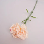 fleurs artificielles rose clair blanc moderne decoration maison anniversaire baby shower